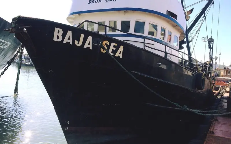 Mantenimiento y Reparación de B/M BAJA SEA 4 Proceso de mantenimiento y reparación en la empresa #BajaAquaFarms con el B/M BAJA SEA.